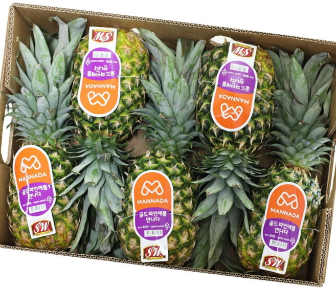 필리핀 파인애플, 1박스, 12kg 내외
