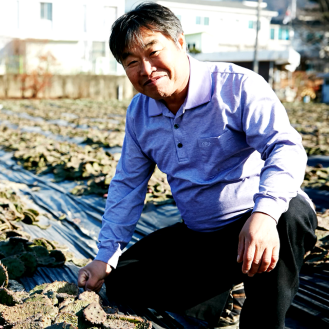 천년초즙 / 천년초분말 : 김윤식천년초 동결건조 천년초가루 손바닥선인장, 줄기분말 200g, 1개, 200g