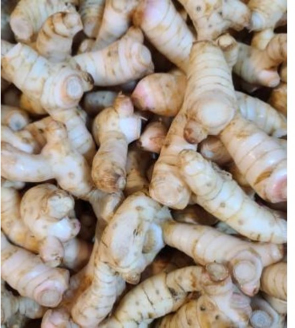 태국 생 갈랑갈 령 태국생강, 1kg, 1개