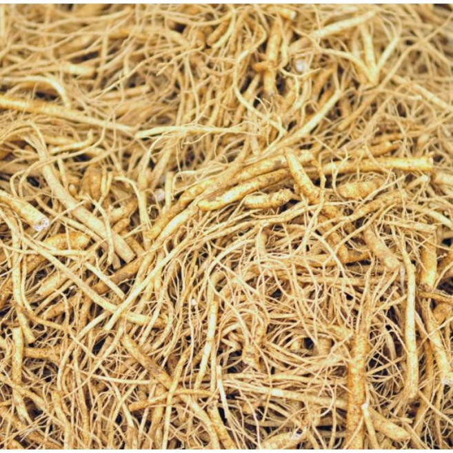 금산인삼 미삼 세척인삼 뿌리삼 파삼 미삼잔뿌리 1kg, 1개