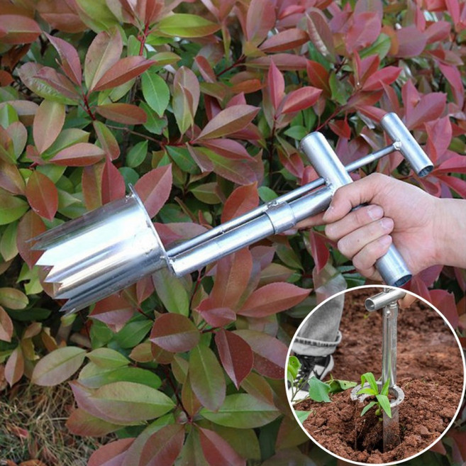 튼튼한 종자 분배 식물 모종기 모종 이식기 씨앗심기, 1개