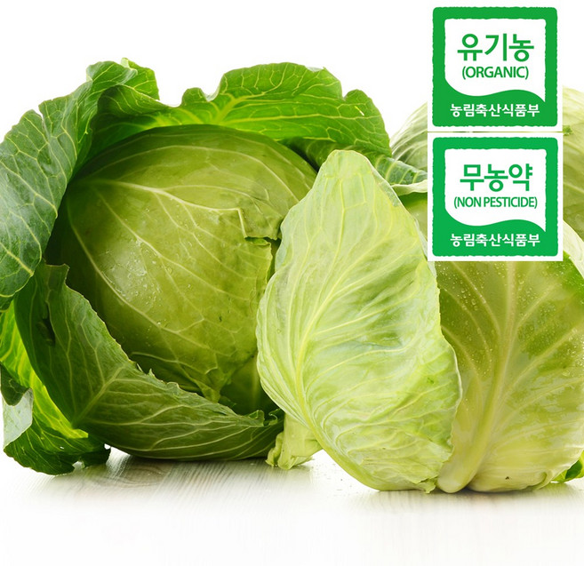 친환경 무농약 유기농 양배추 3kg 5kg, 1개