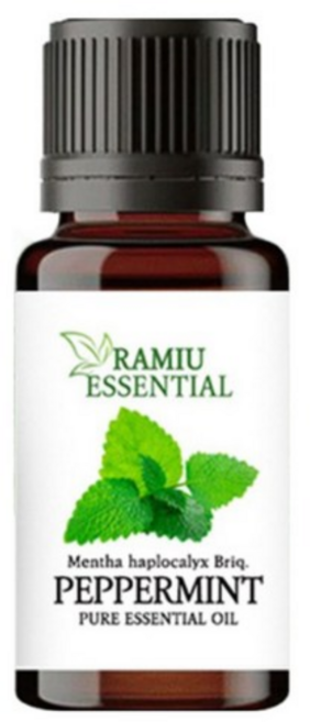 페퍼민트 에센셜 오일, 10ml, 1개