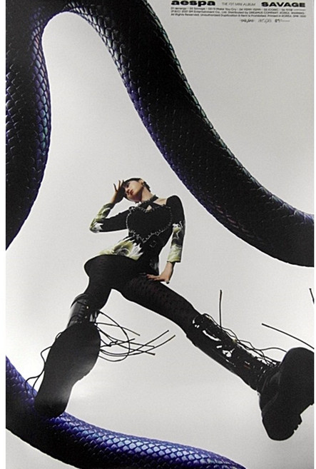 (브로마이드1종+지관통) 에스파 (aespa) - Savage Hallucination Quest 윈터 포스터