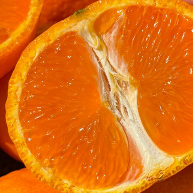 [1년에딱한달] 한정수량 고당도 제주 카라향, 1박스, 2kg