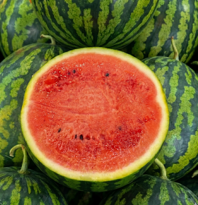 [산지직송] 농가선별 고당도 하우스 수박, 1개, 5kg