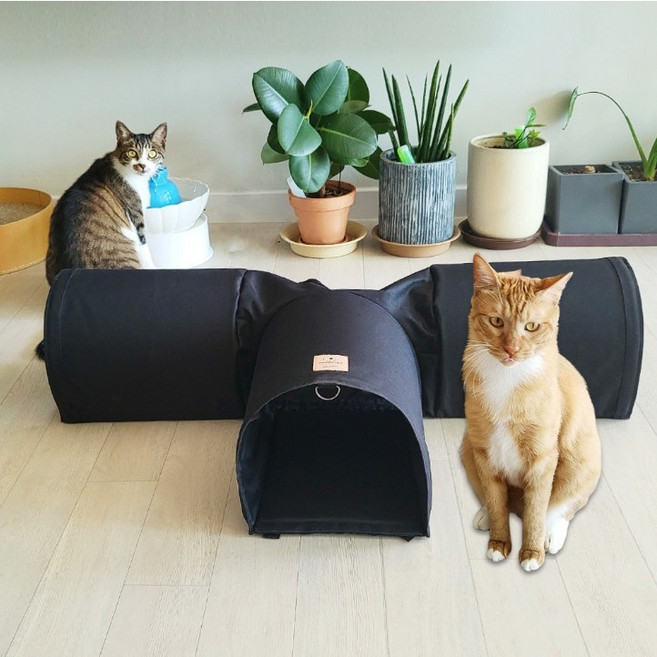 아가프라펫 숨숨 캣터널/무한확장형 튼튼한 국산 고양이 하우스 장난감 집 놀이 흥미유발, 1개