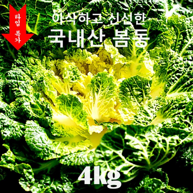 [산지직송 타임특가 15% 할인] 깐깐한 선별 아삭하고 신선한 최고급 봄동 봄동비빔밥 레시피 포함!, 1박스, 4kg