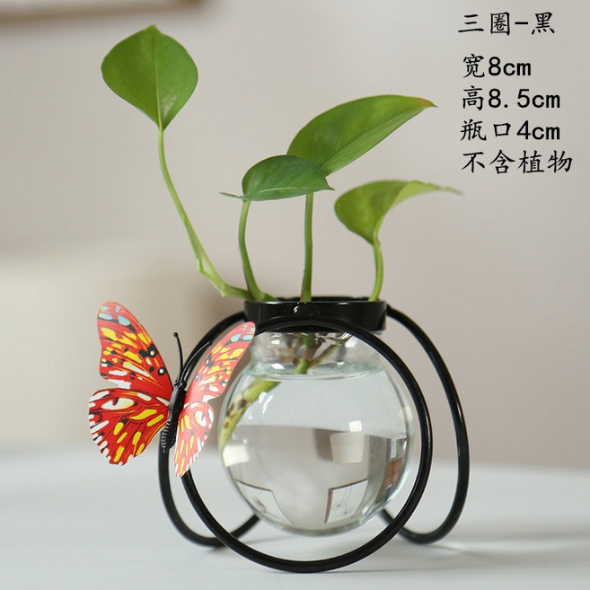 水培器皿 玻璃透明花瓶 鐵藝器皿 桌面擺件, 鐵藝-三圈-黑,中等