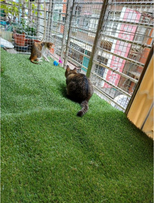 仿真草皮 陽台景觀墊 寵物休憩墊 綠色, 1個