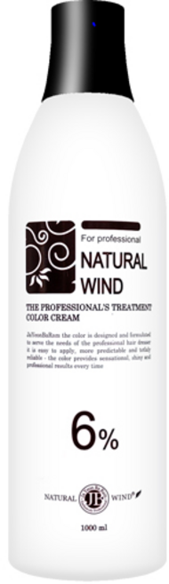 자연바람 헤어칼라 옥시던트 디벨로퍼 산화제 6%, 1000ml, 1개