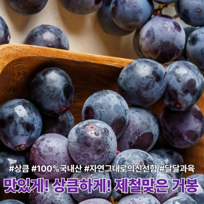 [다정한과일] 고당도 씨없는 거봉 포도, 1박스, [산지직송] 1kg (2~3수)