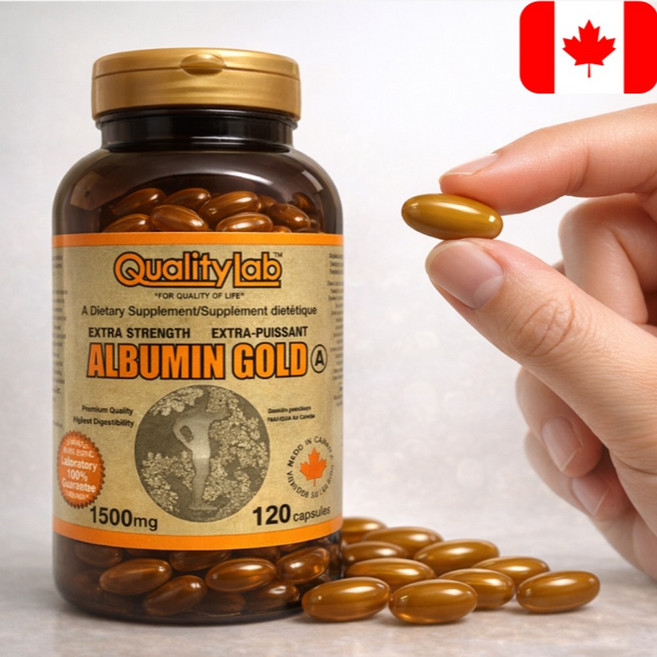 캐나다 퀄리티랩 고함량 알부민 골드 1500mg 120캡슐 단백질 보충 고농축 영양제 선물, 1개, 120정