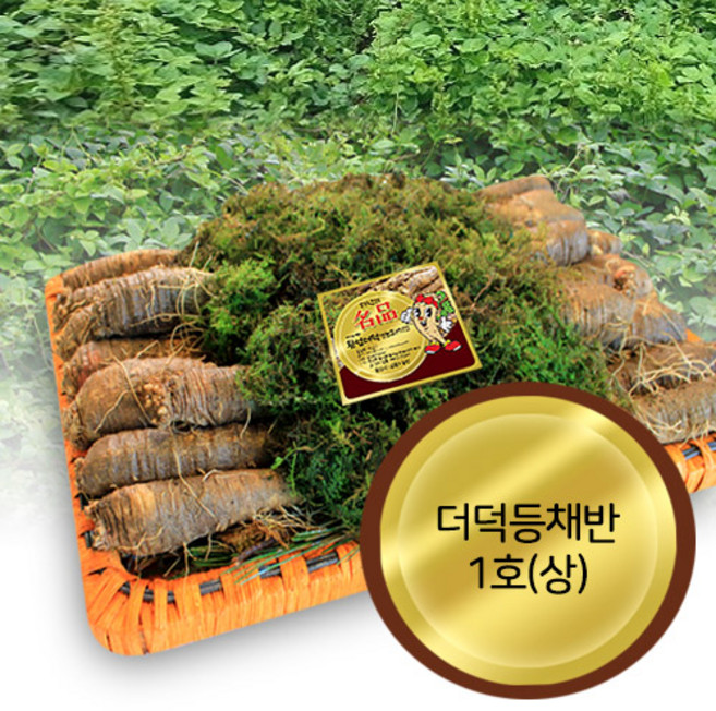 어사매횡성더덕영농조합법인 더덕 선물용1호(1kg), 1박스, 1kg