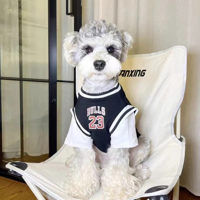 멍담 강아지 고양이 농구 유니폼 운동복, 1개, 블랙