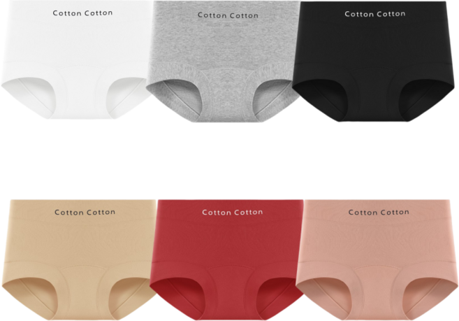 Tavoe 항균10A100% 면 여성 라운드 브리프 중허리 레깅스 타입윤곽선 포인트 팬티 6개 세트 T258-002