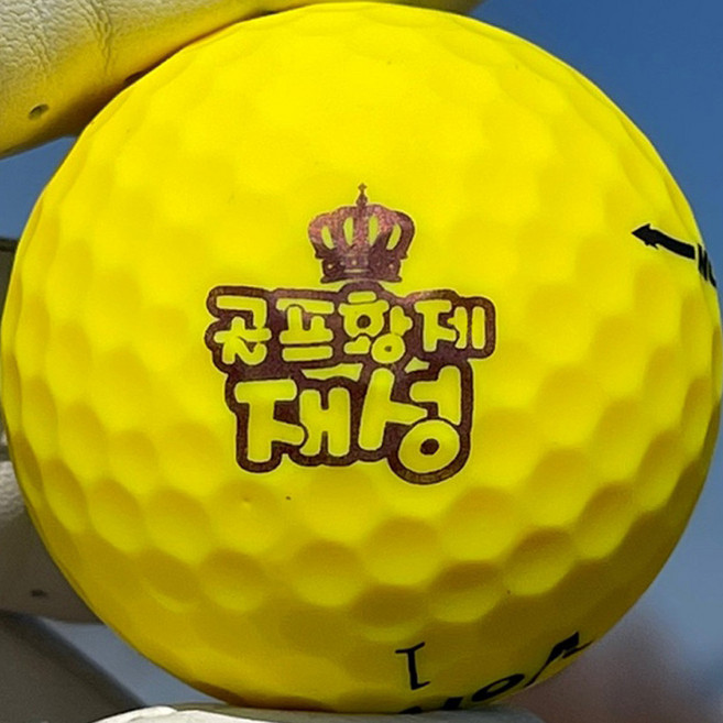 [주문제작] 골프공 스탬프 도장 골프용품 골프엑세사리 더블빅사이즈 + 리필잉크 증정, 랜덤, 레드  5ml, 1개