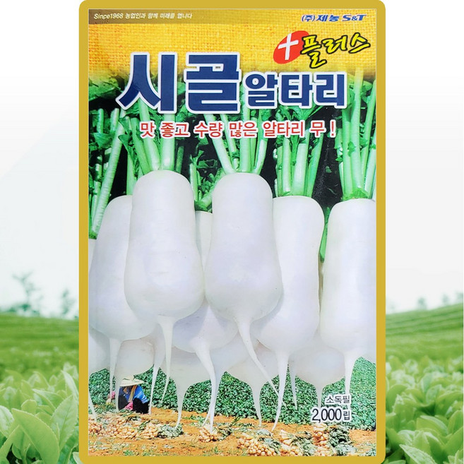 슬로시 약초 씨앗 일당귀 율무 인삼 종자 황기 감초, 1개