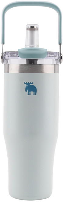 MOZ 모즈스웨덴 포스코 316 스텐 포터블 휴대용 대용량 텀블러, 1개, 900ml, 베이비민트