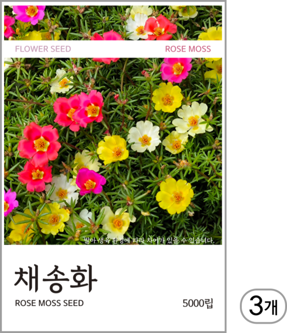 채송화 씨앗 5000립, 3개