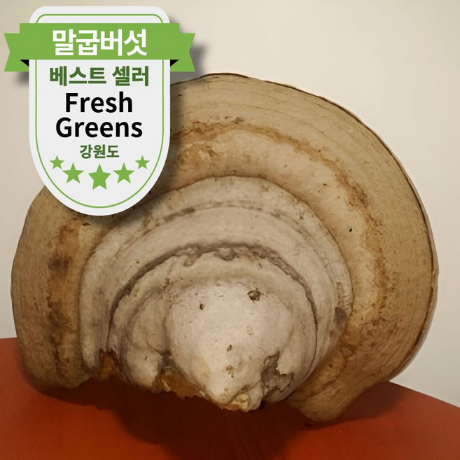 강원도 자연산 말굽버섯 말발굽버섯 약초 한방 한약재, 1박스, 500g 절편