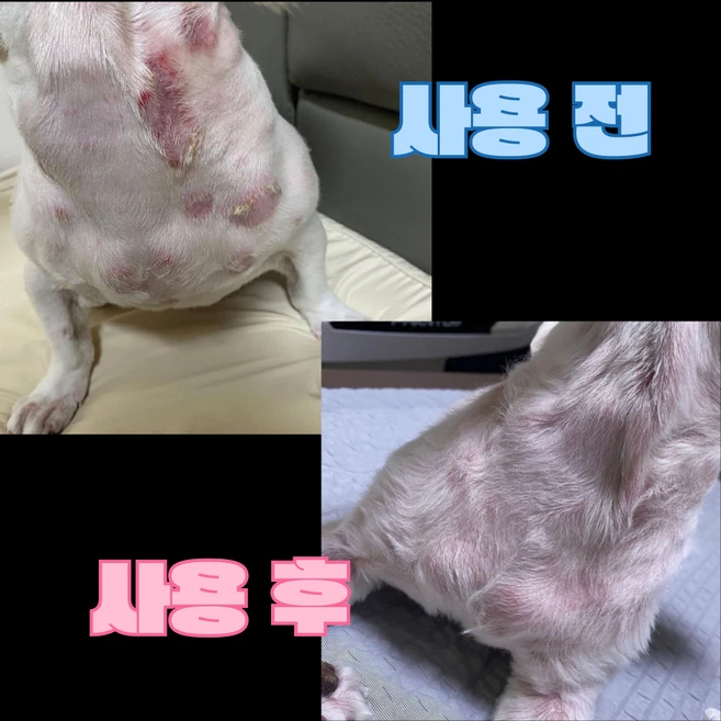 강아지보습 곰팡이 농피증 발사탕 습진 털빠짐 가려움완화 발바닥 갈라짐완화 에센스 100g, 1개, 100ml - 쿠팡