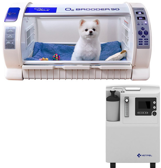 [의료기기] 강아지 고양이 산소방 큐레이들 펫 오투 브루더 산소 농도 조절 및 확인 네블라이저방, 1개, 큐레이들 단품 + 벳펠 산소발생기
