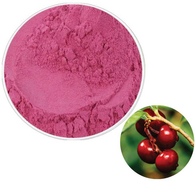 링곤베리주스분말 100g 샘플, 1개