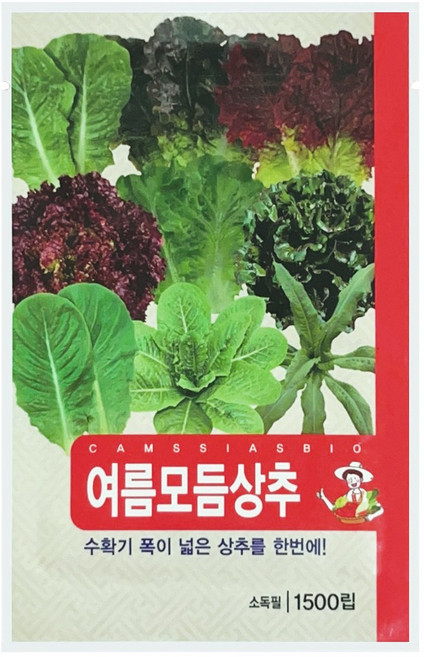 여름 모듬 상추 씨앗, 1개