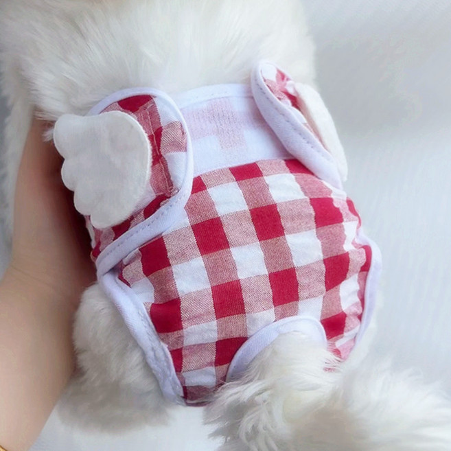 애치비 숨 쉬는 암컷 강아지 매너벨트, 1개, 1개입, 중형