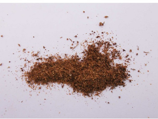 눈개승마씨앗 / 눈개승마씨 1 g, 1개