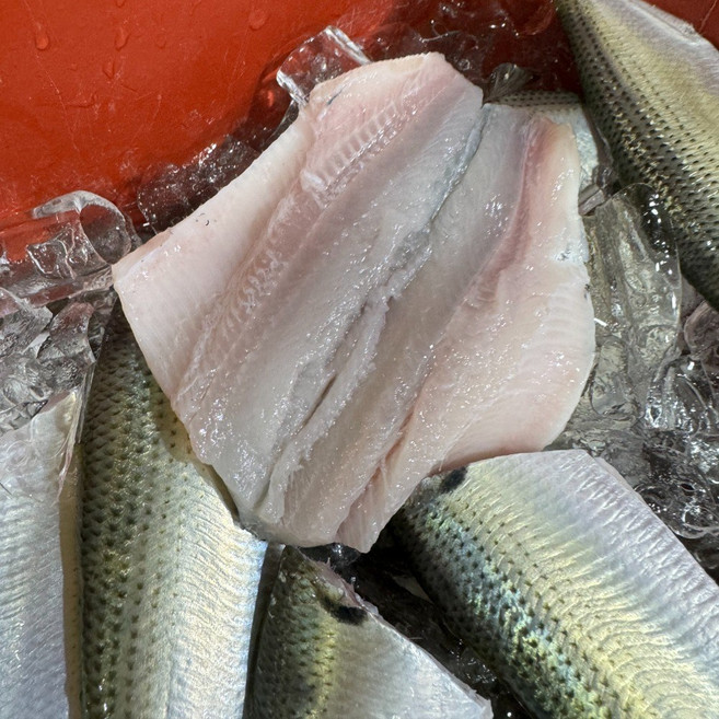 [산지직송]통영 자연산 활 전어(전어구이 500g 전어세꼬시 300g 전어순살 250g), 1개, [급냉]전어순살용250g