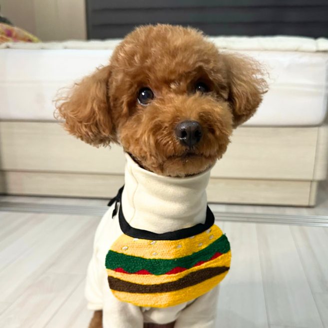 큐리파이 재밌는 강아지 케이프 스카프 턱받이, 1개, 햄버거