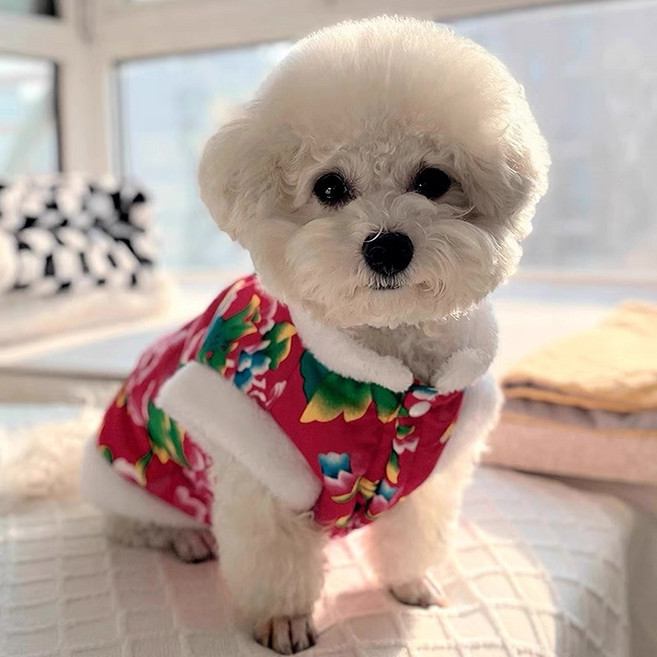 강아지 고양이 김장조끼 옷 반려동물 겨울 방한 코트