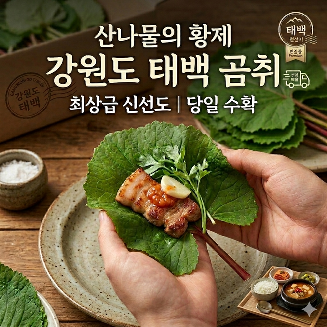 강원도 곰취 곰치 곰취나물 쌈채소 봄나물 1kg 1, 1박스, 4kg