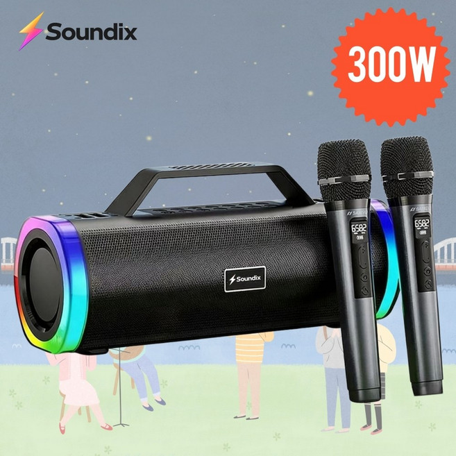 사운딕스 고출력 버스킹앰프 300W 이동식 야외 스피커 블루투스 듀얼마이크 행사 공연, Black, S.Dix-2M