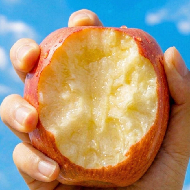 [7차완판특가] 부사 사과 경북 꿀사과 고당도 국내산 햇사과, 1박스, 5kg