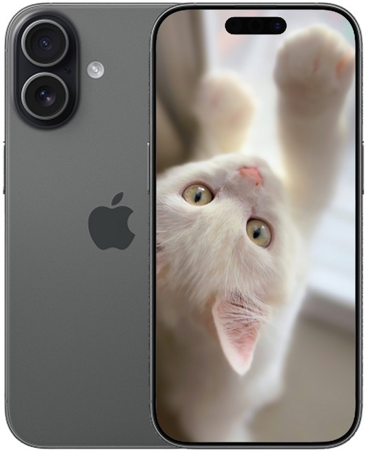 i폰 17 미개봉 새상품, 512GB, 블랙(Black)