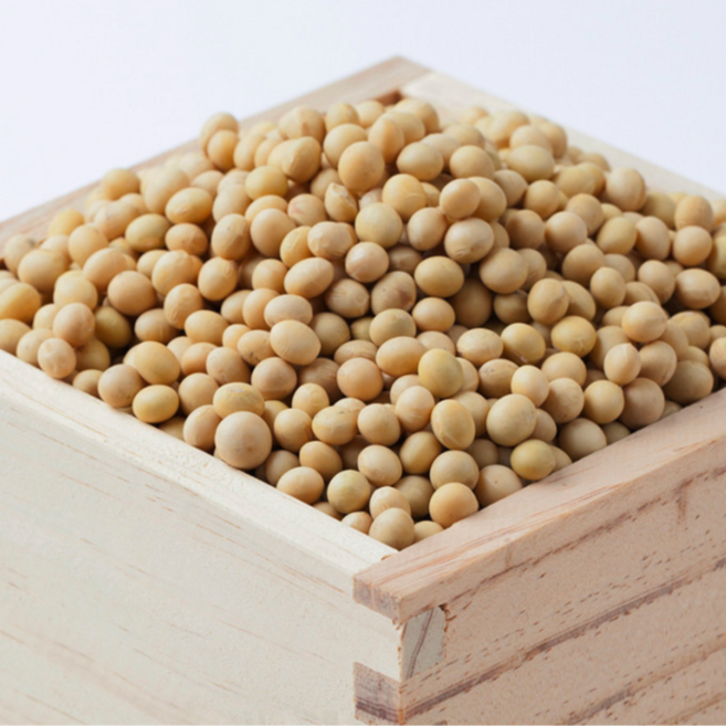 [25년산][늘찬팜] 국내산 잡곡 백태 콩 메주콩 콩국수용, 2개, 4kg