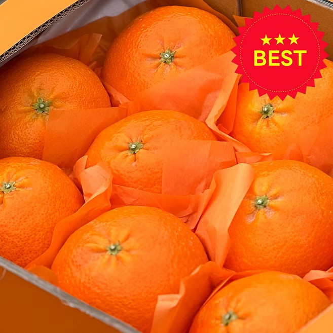 (산지 직송) 고당도 제주 레드향, 1박스, 5KG 소과 (24~35과 일반 포장)