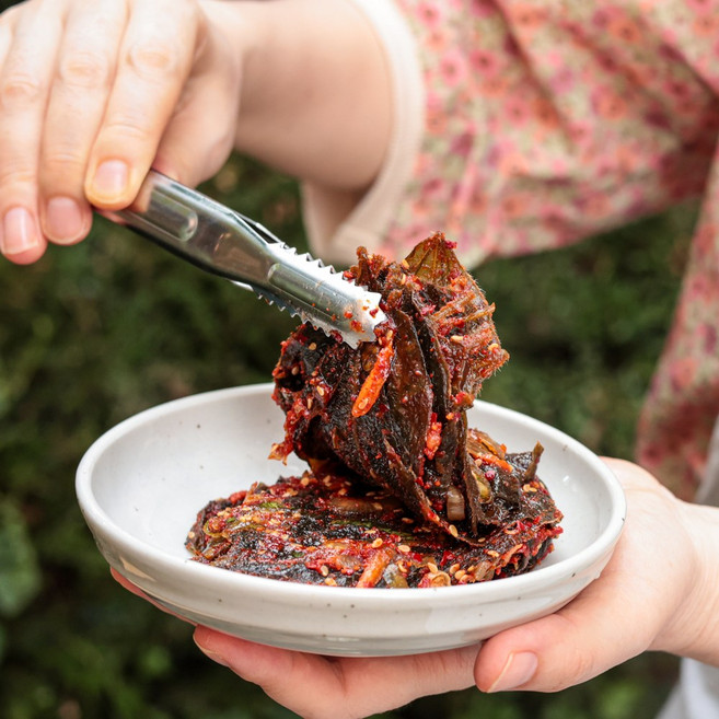 양념 초록콩잎장아찌 삭힌 콩이파리 국산 순창 장담아, 1개, 500g