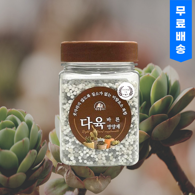 다육영양제 (300g) 다육 식물 천연 영양제 웃자람방지, 1세트, 300g