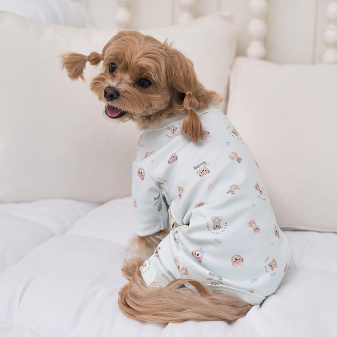 베일리펫 강아지옷 애견의류 테디 항균 올인원, 민트, 1개