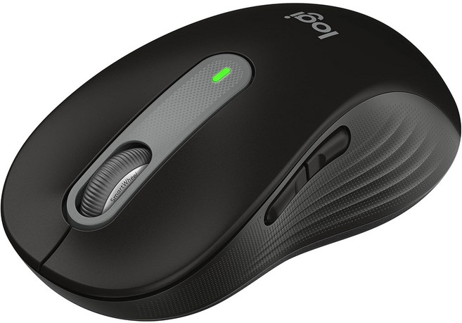 로지텍 SIGNATURE 블루투스 멀티 마우스 M650 L, 그래파이트