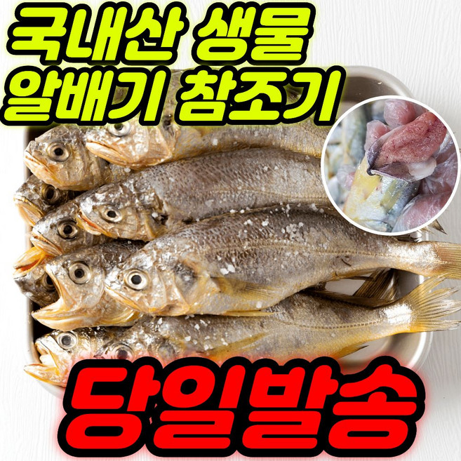 [주문폭주] 국내산 제철 알배기 참조기, 1개, [인기] 알배기 참조기2kg (26~28미)