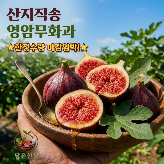 [담은한상] 기간한정 산지직송 영암 생무화과, 1개, 500g(6~8과)