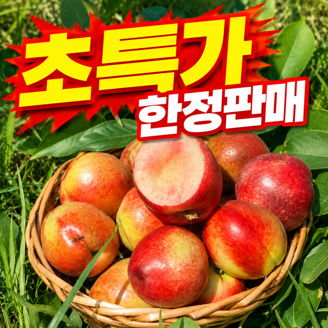 [24시간한정초특가세일] 한정시즌 초고당도 천상의맛 신비복숭아, 1박스, 5kg