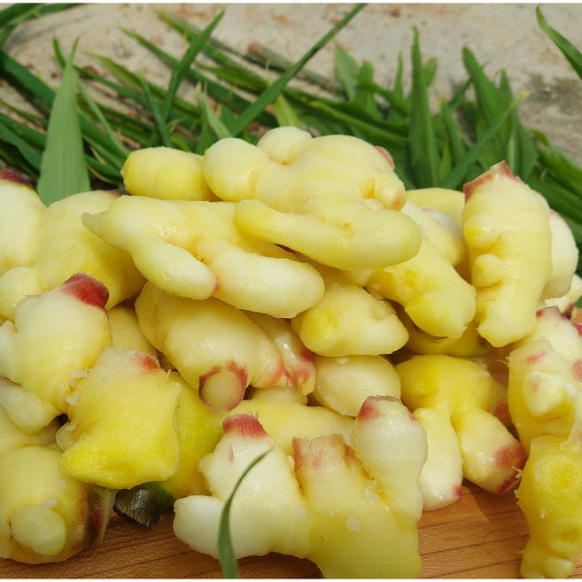 현미네 생강농장 국내산 햇생강 깐생강 특품 1kg, 1개