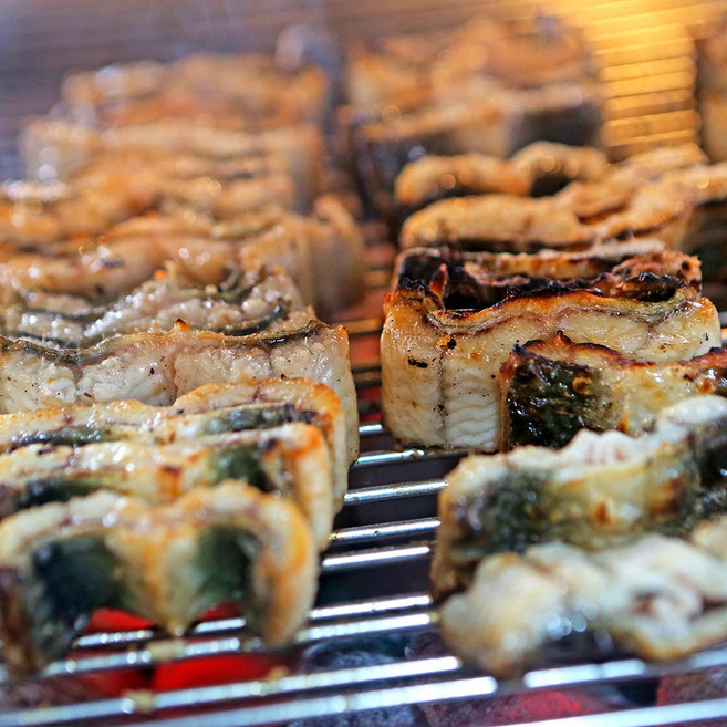 [HACCP]풍천만장어 100%국내산 자포니카 1kg 손질후 700g 내외 [원산지:국산(전라남도) [원산지:국산], 1개