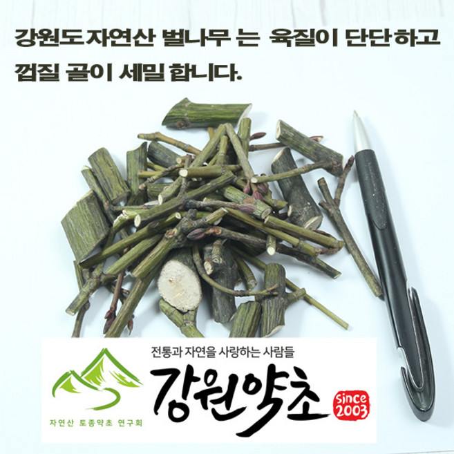 (강원약초)강원도 자연산 벌나무 잔가지300g 강원도 인제군 높은산 청정지역 자생하는 곳에서 채취한 야생 벌나무잔가지 자연건조 맛과 향이 뛰어납니다., 벌나무껍질200g, 1개, 300g